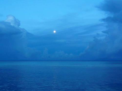 Månsken över havet